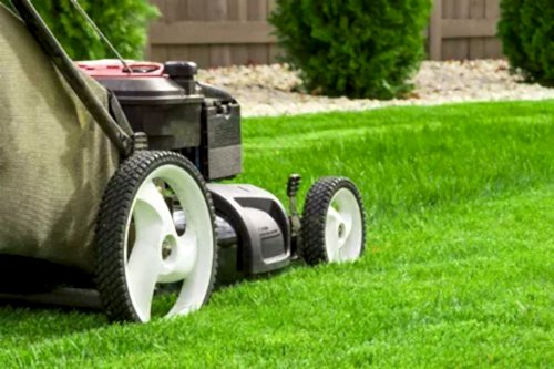 Çimlendirme ve Çim Bakımı