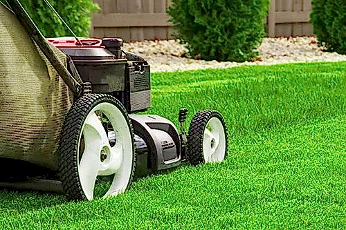 Çimlendirme ve Çim Bakımı