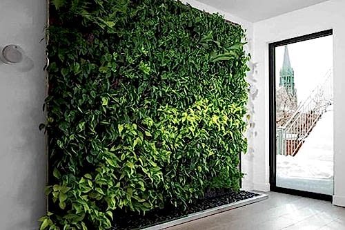 Dikey Bahçe ve Yeşil Duvar Sistemleri