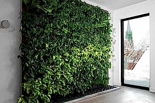 Dikey Bahçe ve Yeşil Duvar Sistemleri