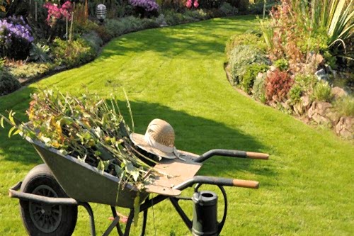 Profesyonel Bahçe Bakımı ve Budama Hizmetleri