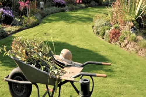 Profesyonel Bahçe Bakımı ve Budama Hizmetleri