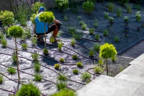 Peyzaj Uygulama ve Düzenleme