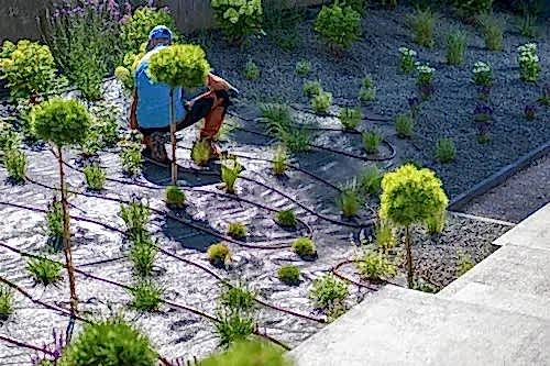 Peyzaj Uygulama ve Düzenleme